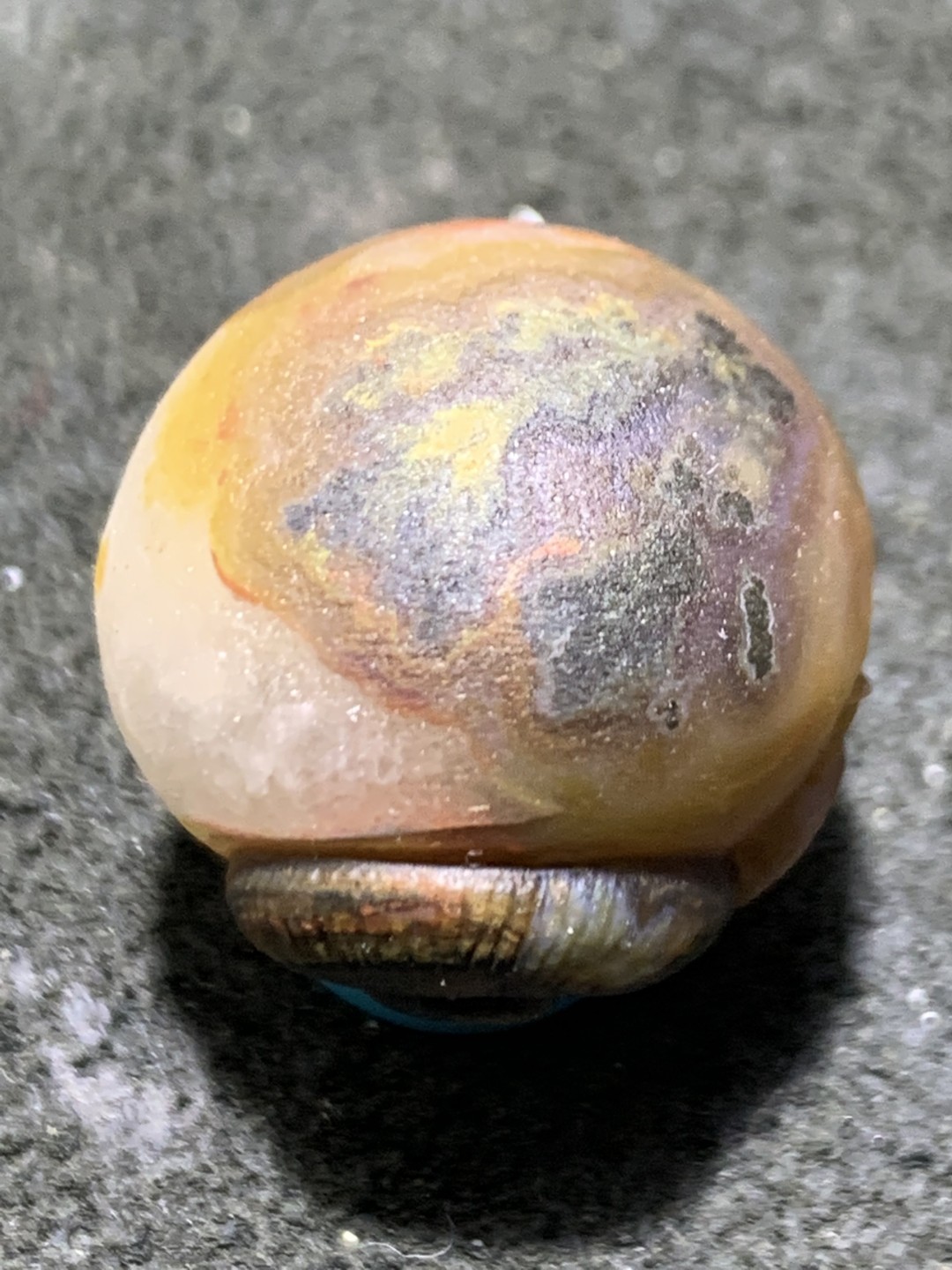 精美冰飘亚光战国红玛瑙巧雕蜗牛珠一个，寓意，扭转乾坤，