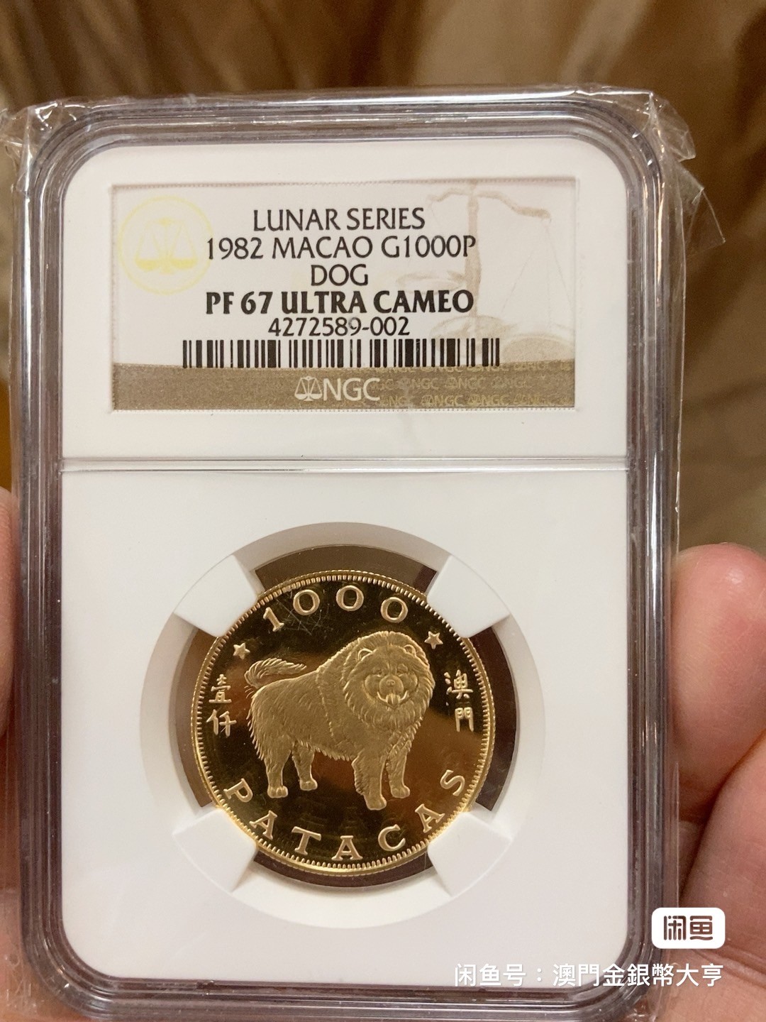 澳门1982年1/2盎司生肖狗金评级币  