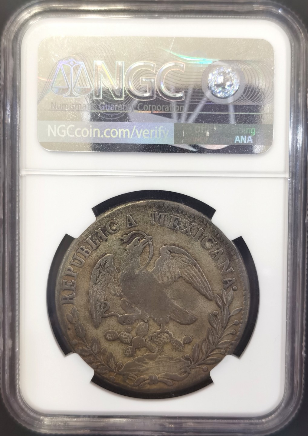 博洋堂世界钱币拍卖第008期（全场包邮） NGC VF 墨西哥1829年ZS AO版花边鹰洋8R