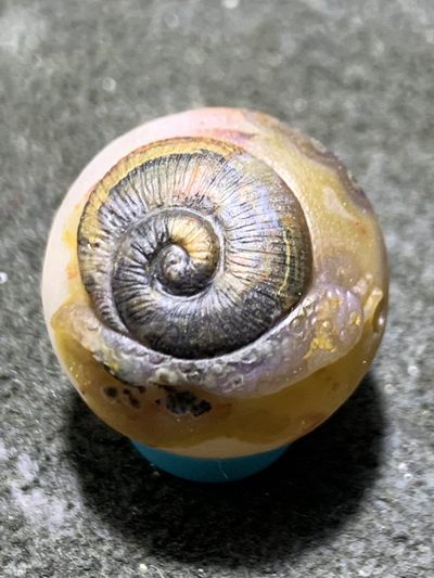 精美冰飘亚光战国红玛瑙巧雕蜗牛珠一个，寓意，扭转乾坤， - 精美冰飘亚光战国红玛瑙巧雕蜗牛珠一个，寓意，扭转乾坤，