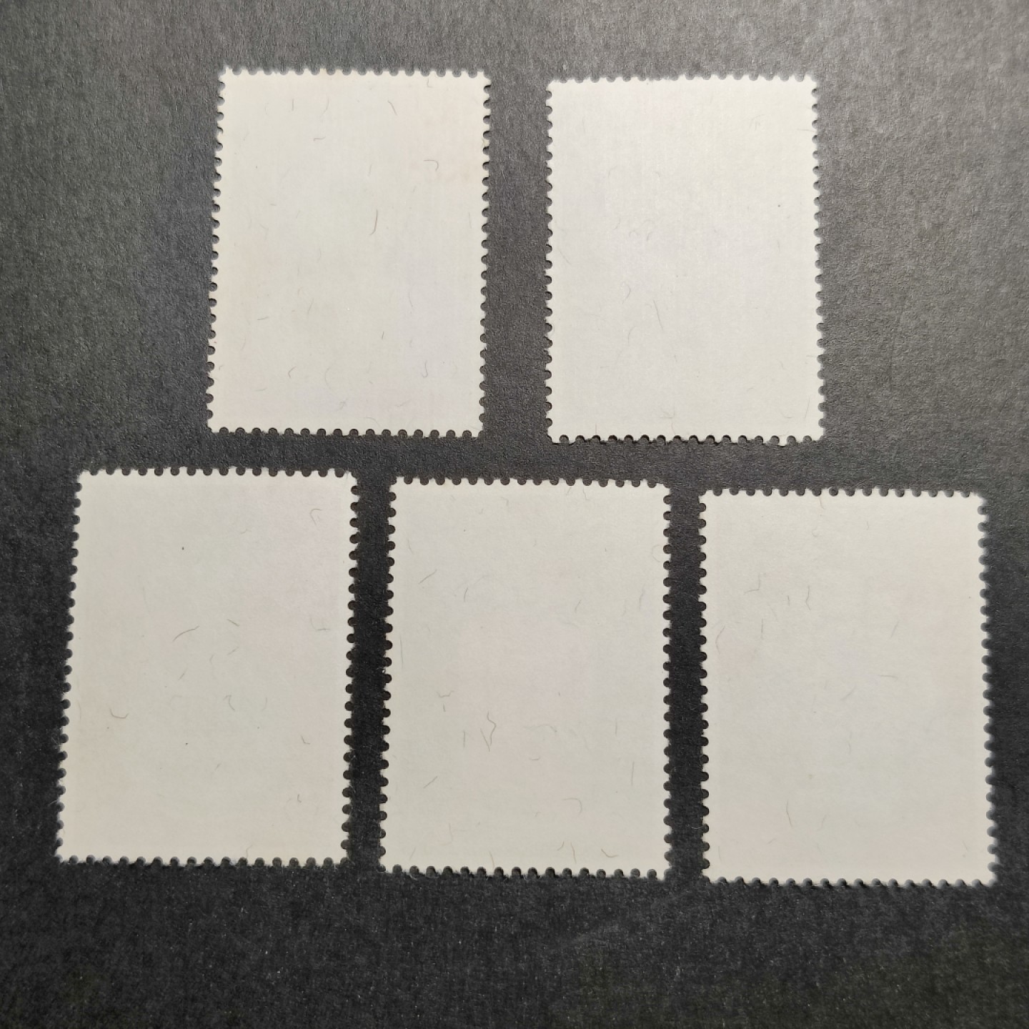 洪涛臻品批发群  精选邮票限时拍卖第一百零六期 清瓷5全新(参考图2) 1972年 2元面值缺2齿 面艳背白票挺 原胶无贴近全品—全品！