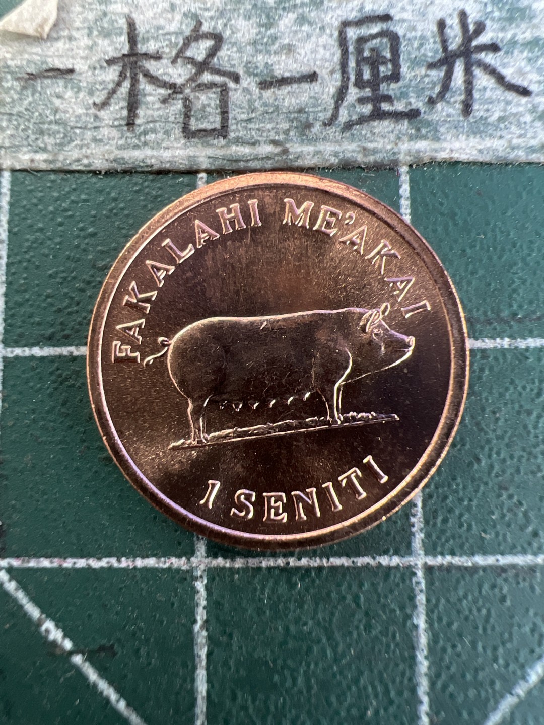 泡泡堂第171期  世界硬币邮票专场（无押金，无佣金，捡漏，全场20包邮，偏远地区除外） 汤加1979年全新粮农一分