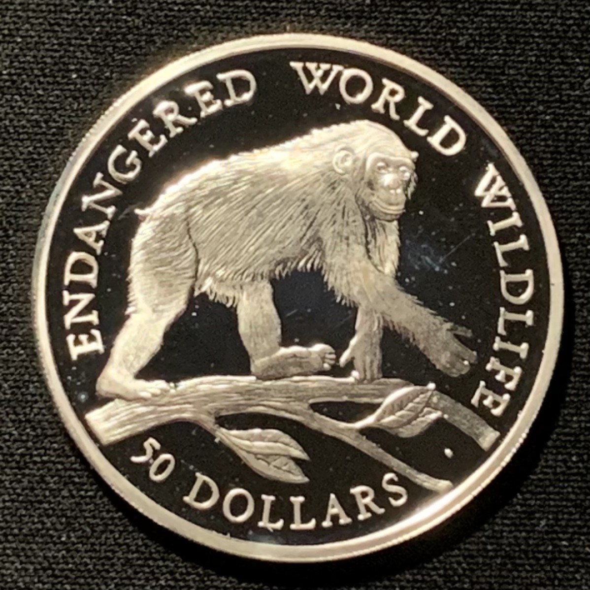 紫瑗钱币——第261期拍卖