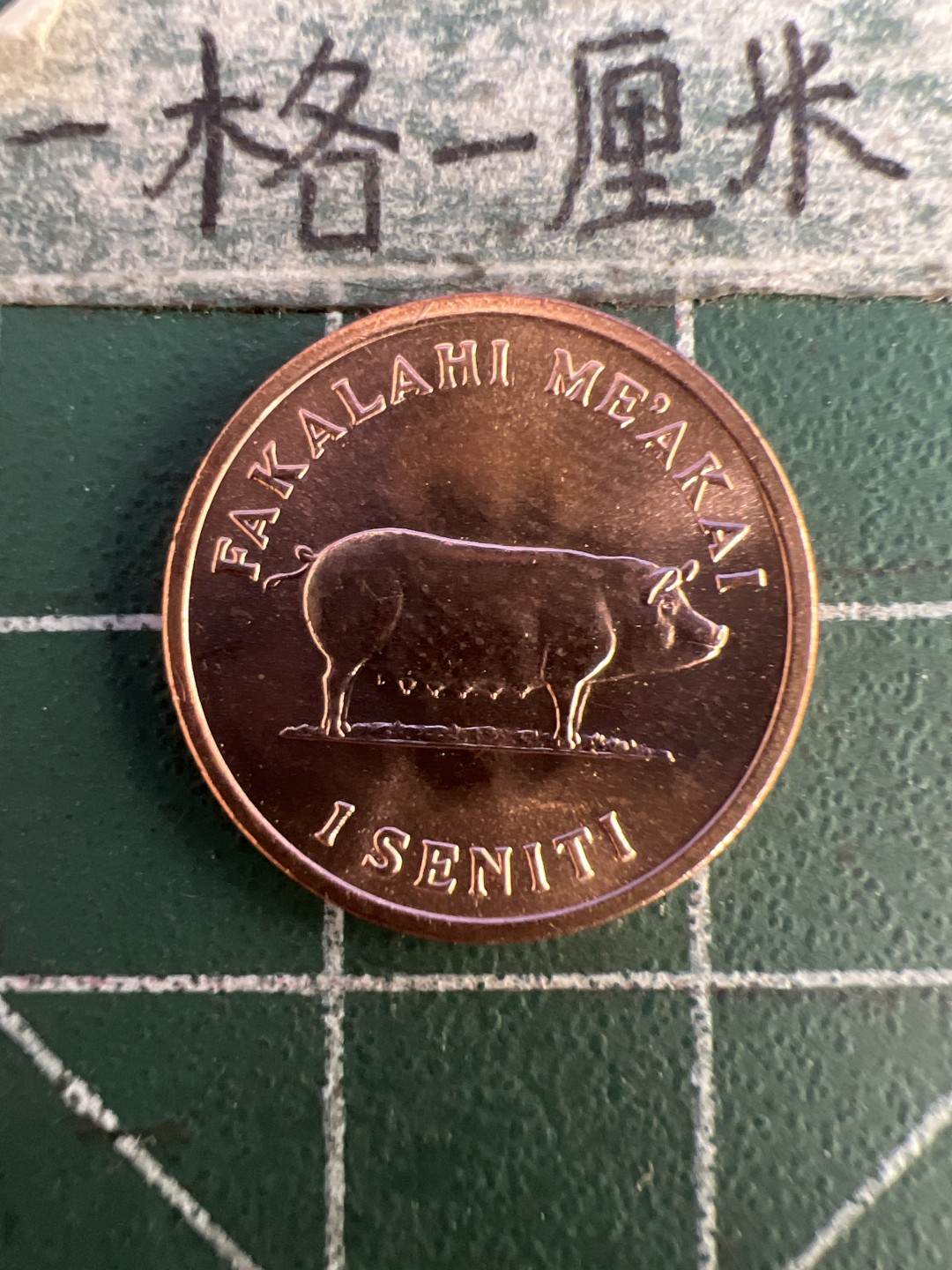 泡泡堂第179期  世界硬币女王专场（无押金，无佣金，捡漏，全场20包邮，偏远地区除外） 汤加1979年全新粮农一分