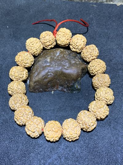 精美老树古珠五星天龙金刚菩提手串一条 - 精美老树古珠五星天龙金刚菩提手串一条