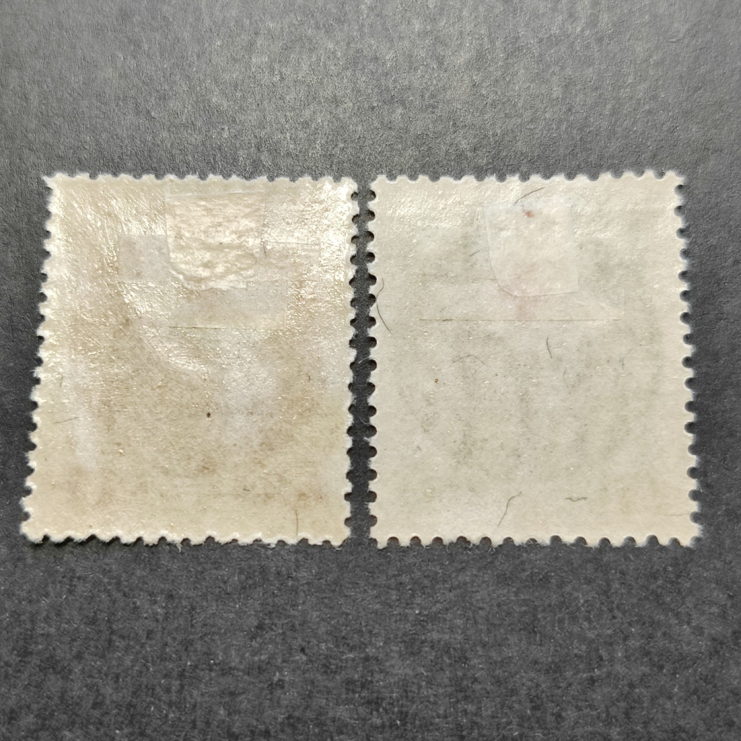 洪涛臻品批发群  精选邮票限时拍卖第一百一十二期 满洲纪8 红十字会创立纪念 2全 新票上品 (历经长期战乱与文革销毁等,发行量很少消耗量又很大的解放前邮票能有上品就满足了)