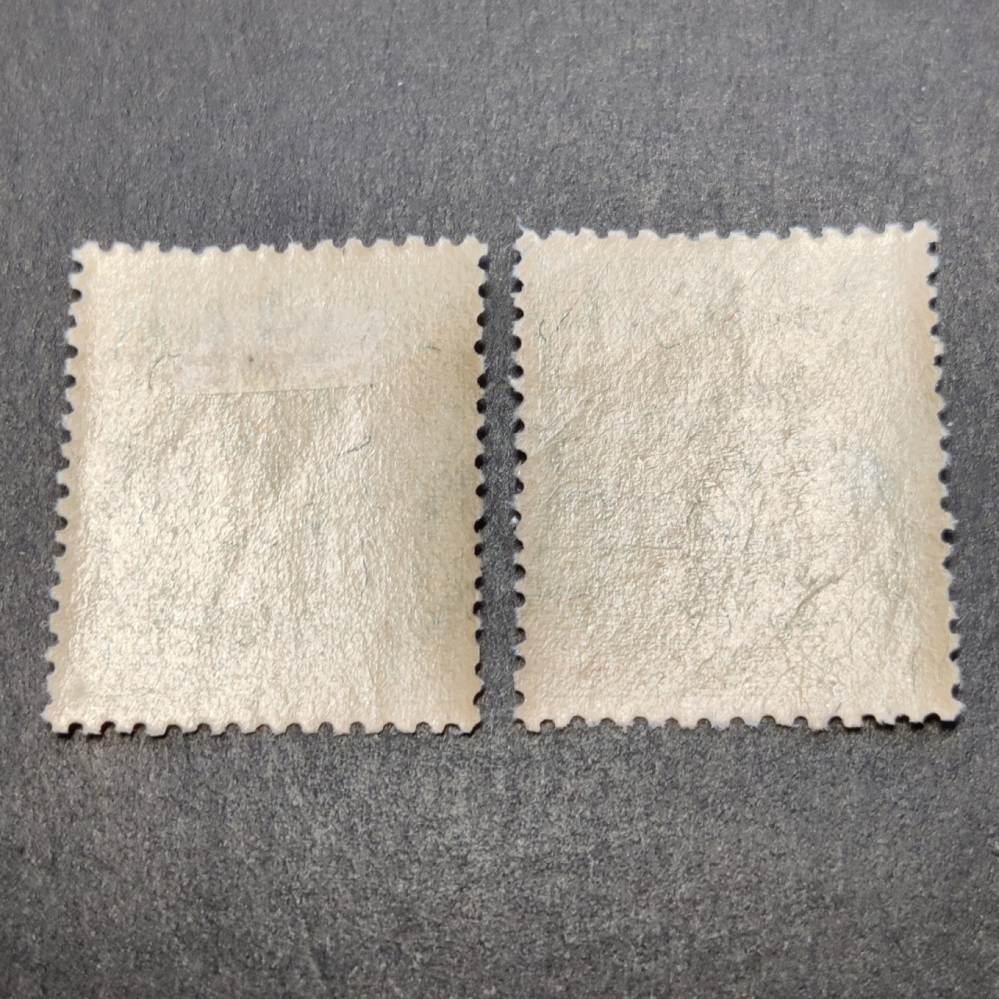 洪涛臻品批发群  精选邮票限时拍卖第一百一十二期 贵票！满洲航1 第一版航空邮票 全套2枚 新票上品 (历经长期战乱与文革销毁等,发行量很少消耗量又很大的解放前邮票能有上品就满足了)
