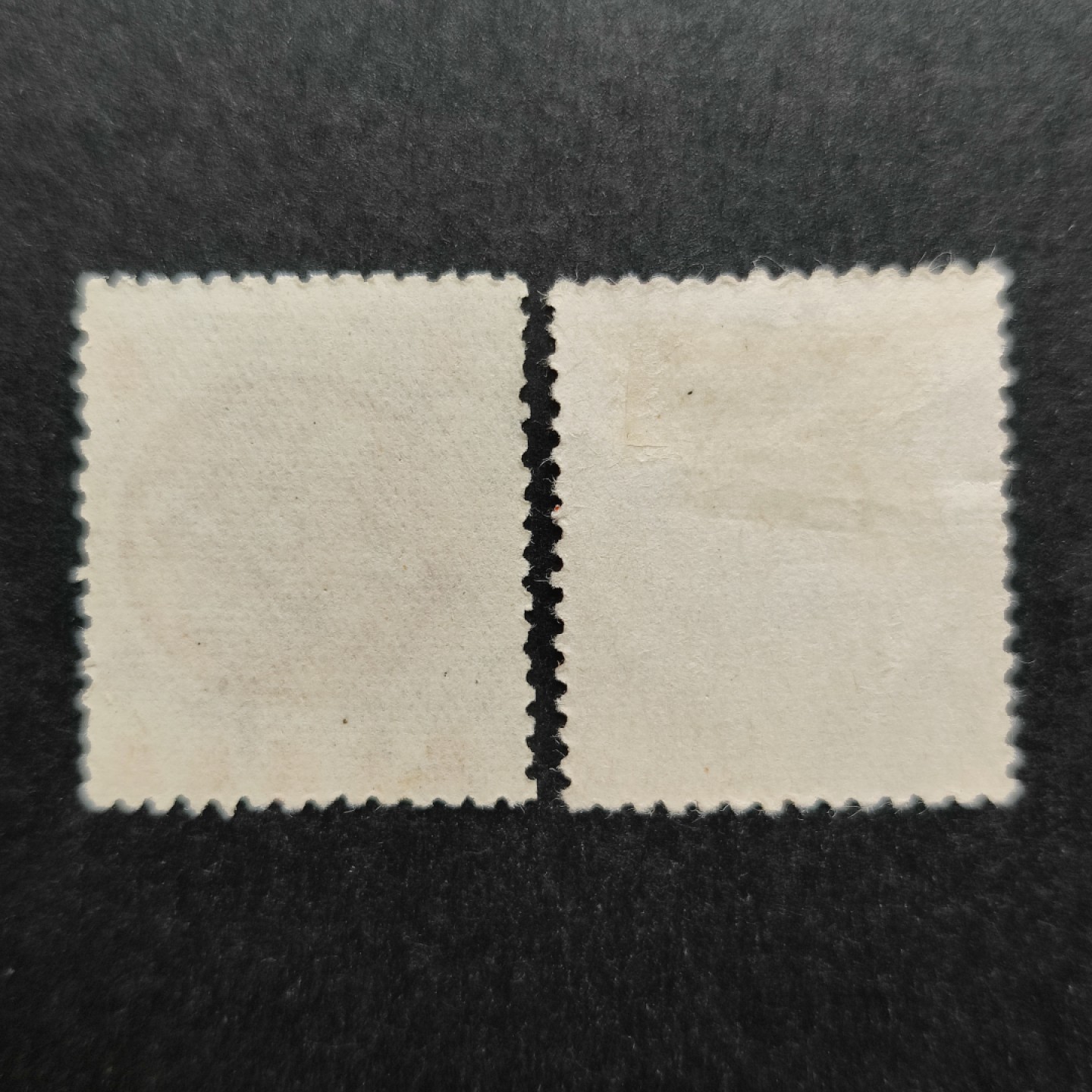 洪涛臻品批发群  精选邮票限时拍卖第一百一十二期 满洲储1(清末皇帝溥仪再登基傀儡皇帝) 鲤鱼图储金邮票 全套2枚 新票上品 (历经长期战乱与文革销毁等,发行量很少消耗量又很大的解放前邮票能有上品就满足了)