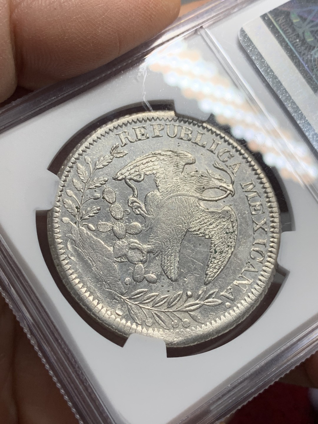 《竞宝斋》第123场-周日，周一 ，2场连拍（全场包邮） NGC UNC 墨西哥 1841年 早期 8R 花边鹰洋 光度非常好 