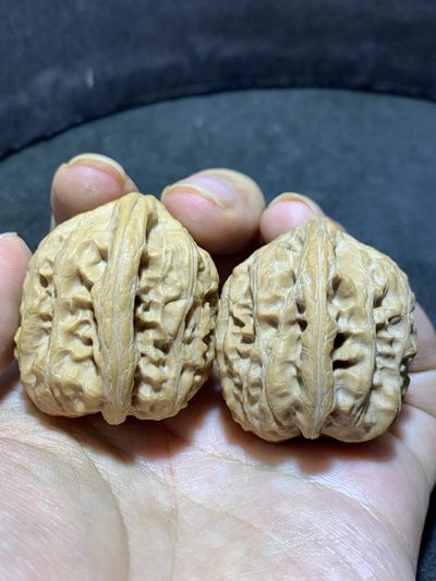 精美野生小众粗筋靠山王狮子头文玩核桃一对 - 精美野生小众粗筋靠山王狮子头文玩核桃一对