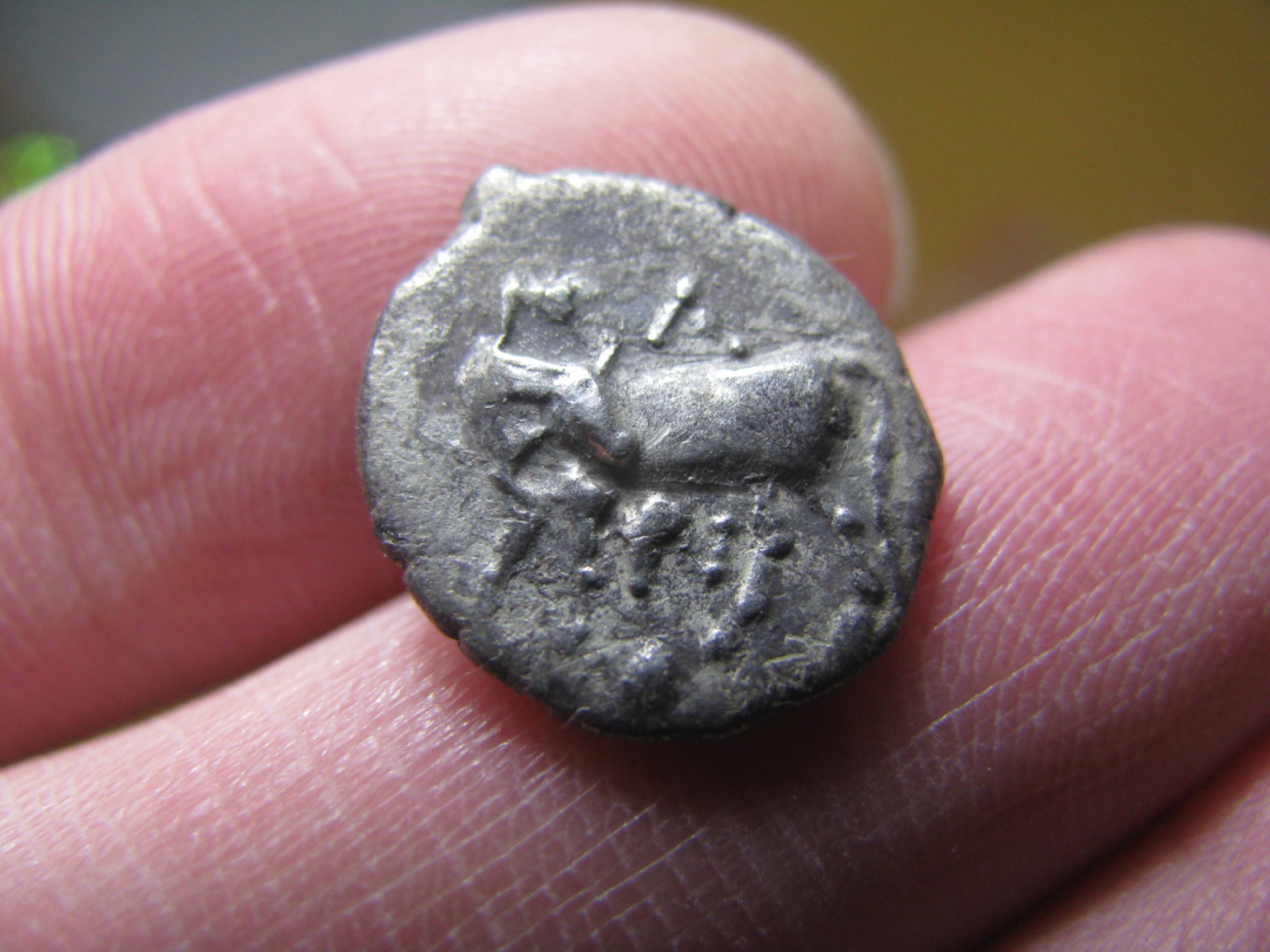 王之爱好～外国古币 古希腊美杜莎银币