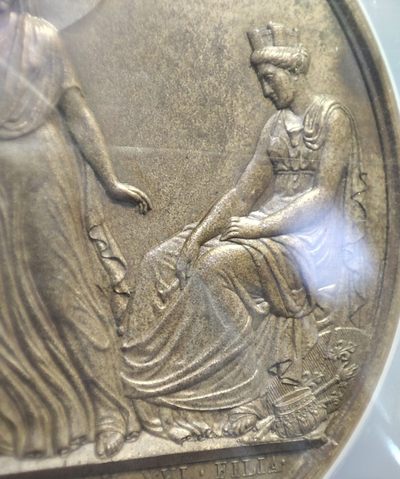 年末清仓 顺丰包邮 NGC大盒法国1795路易十八系列铜章 侄女获救，命运多舛的路易十九的皇后