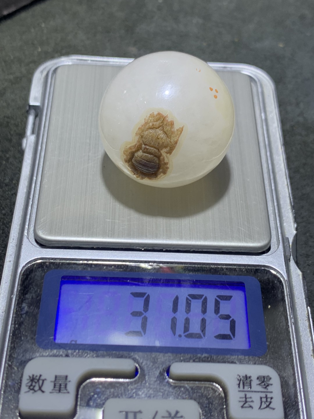 精美亚光冰飘战国红玛瑙雕刻蜘蛛大珠子一颗，寓意，知足常乐，