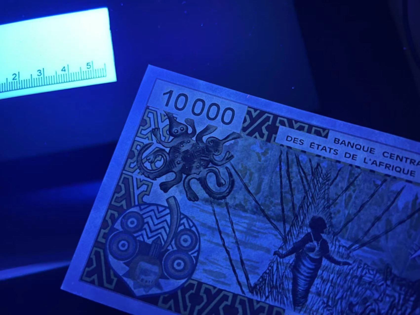《外钞收藏家》第二百二十五期 西非法郎 1万 UNC- 少量潮癍