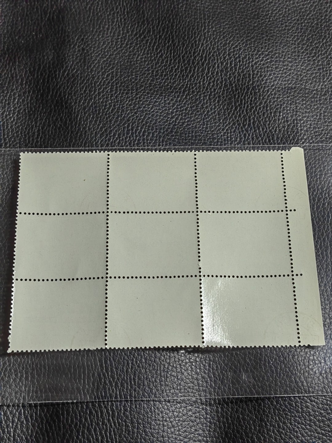 洪涛臻品批发群  精选邮票限时拍卖第一百一十四期 热门品种，特73井冈山  盖销  8-4厂名9连一组，白胶润到流油。老纪特三俗稀缺，经典热门票，版撕全品嘎嘎绝，撕口新，适合收藏，喜欢不要错过，全品可评级