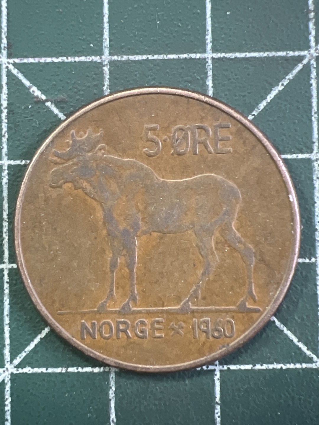 泡泡堂外币捡漏场第四期（无押金，无佣金，捡漏，全场20包邮，偏远地区除外） 挪威雄鹿