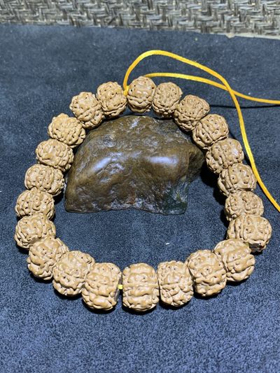 精美勿里达藏式宽龙金刚菩提手串一条， - 精美勿里达藏式宽龙金刚菩提手串一条，