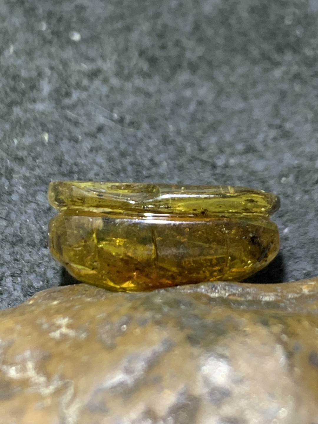 天然通货乌克兰蜜蜡雕刻龟壳寓意，富甲天下，一个，