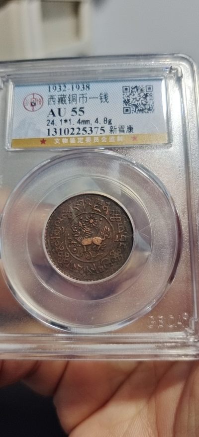 西藏铜币雪山吼狮系列 - 西藏铜币新雪康公博评级币