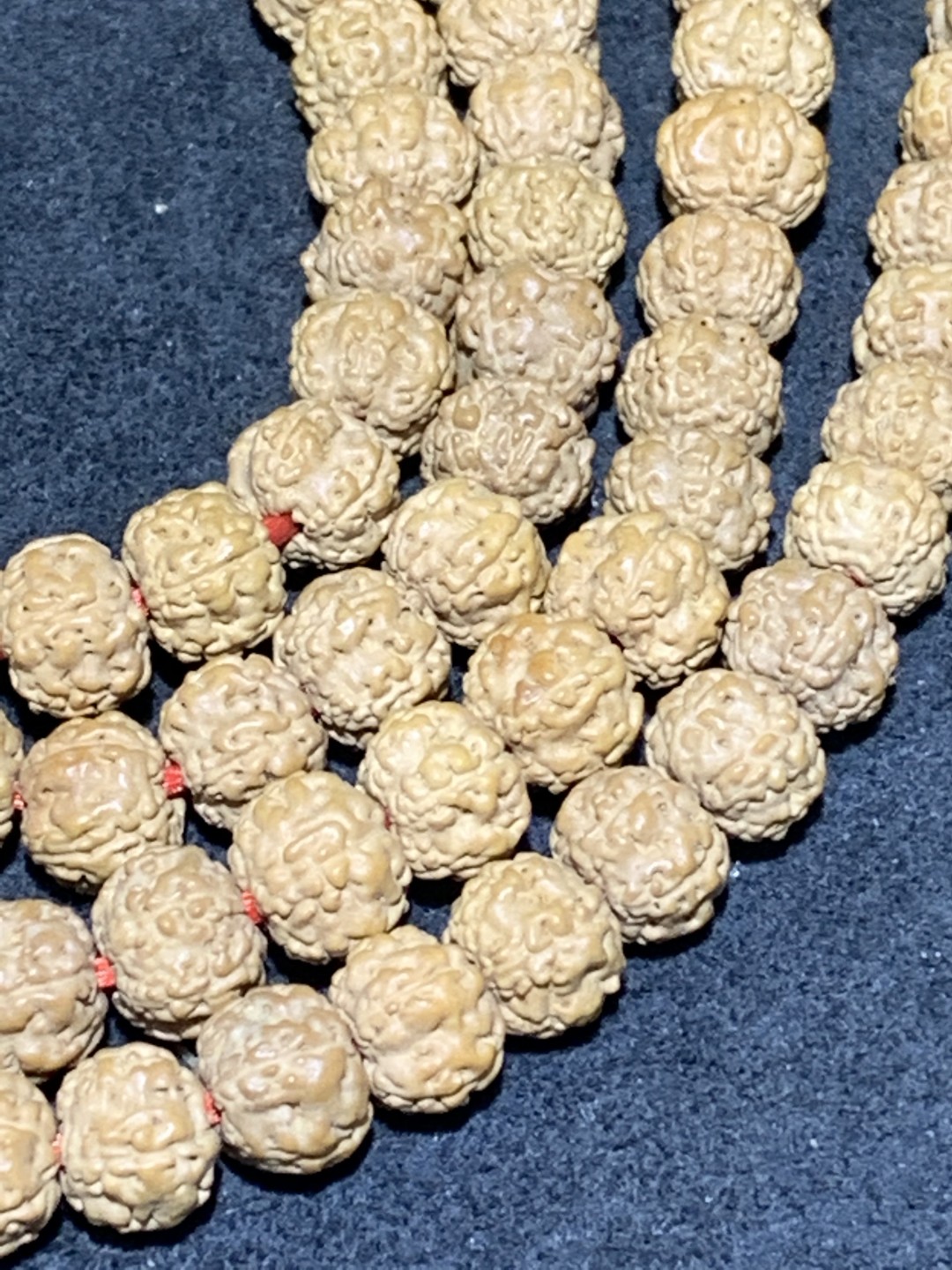 精美蜂窝双龙小金刚菩提一条，