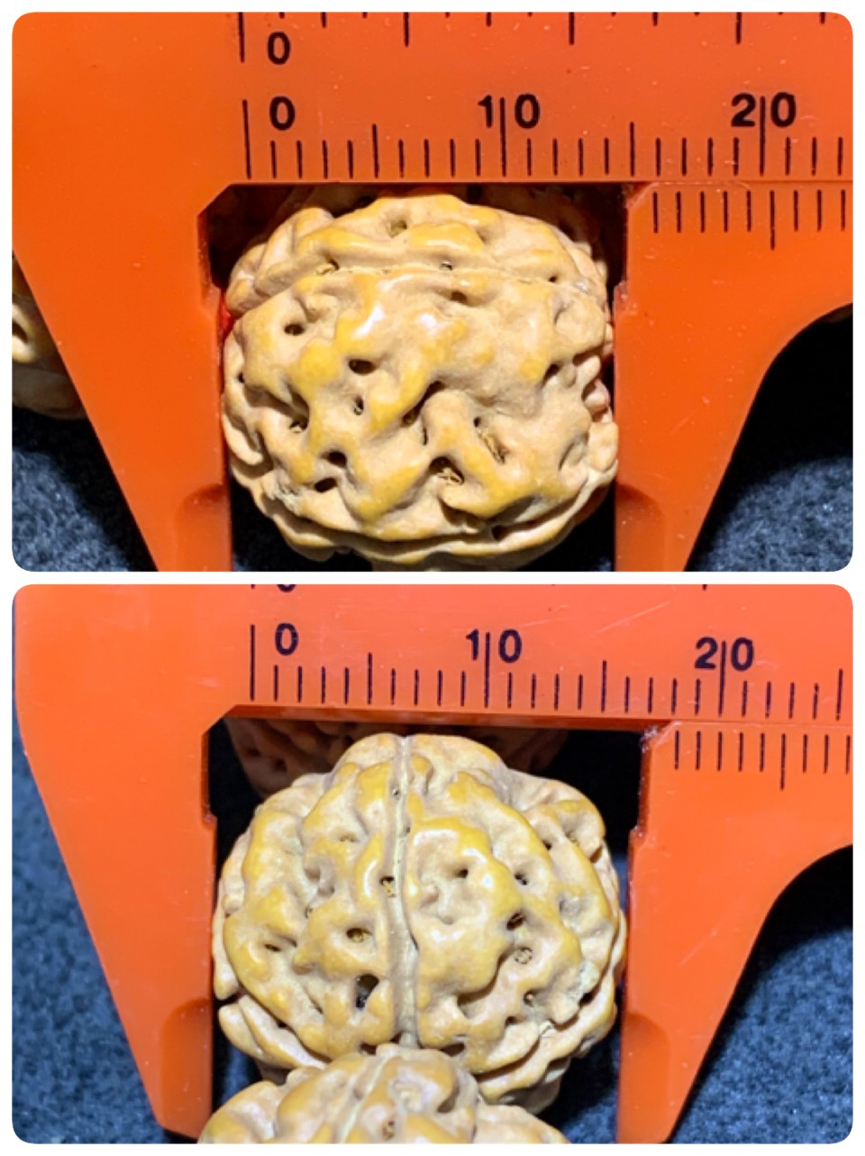 精美毕业级凹底梅花双龙金刚菩提手串一条，