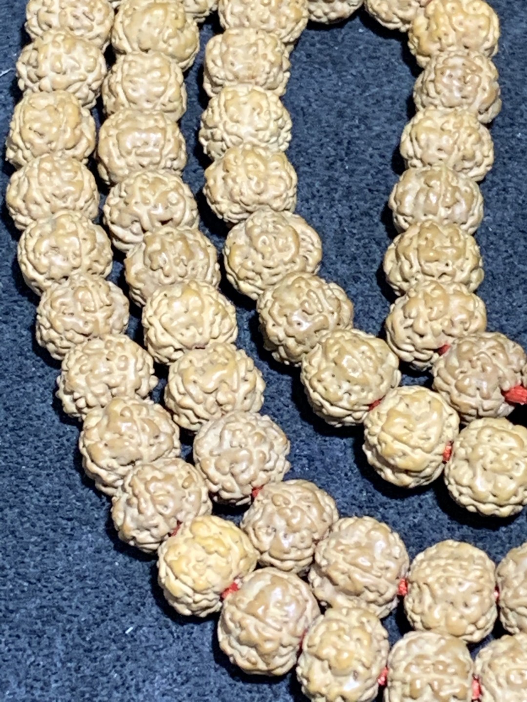 精美蜂窝双龙小金刚菩提一条，