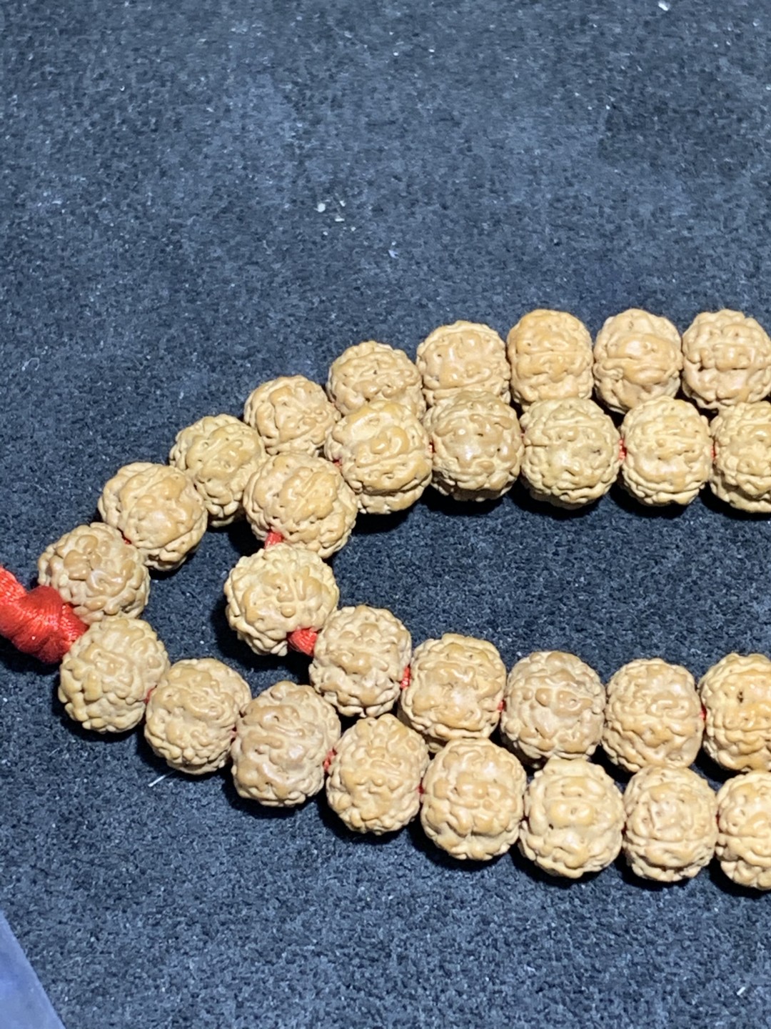 精美蜂窝双龙小金刚菩提一条，