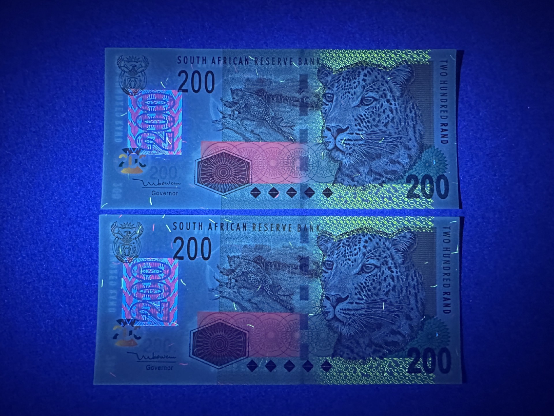 《张总收藏》84期——外币典藏 南非200兰特连号两张 UNC 2005年非洲豹