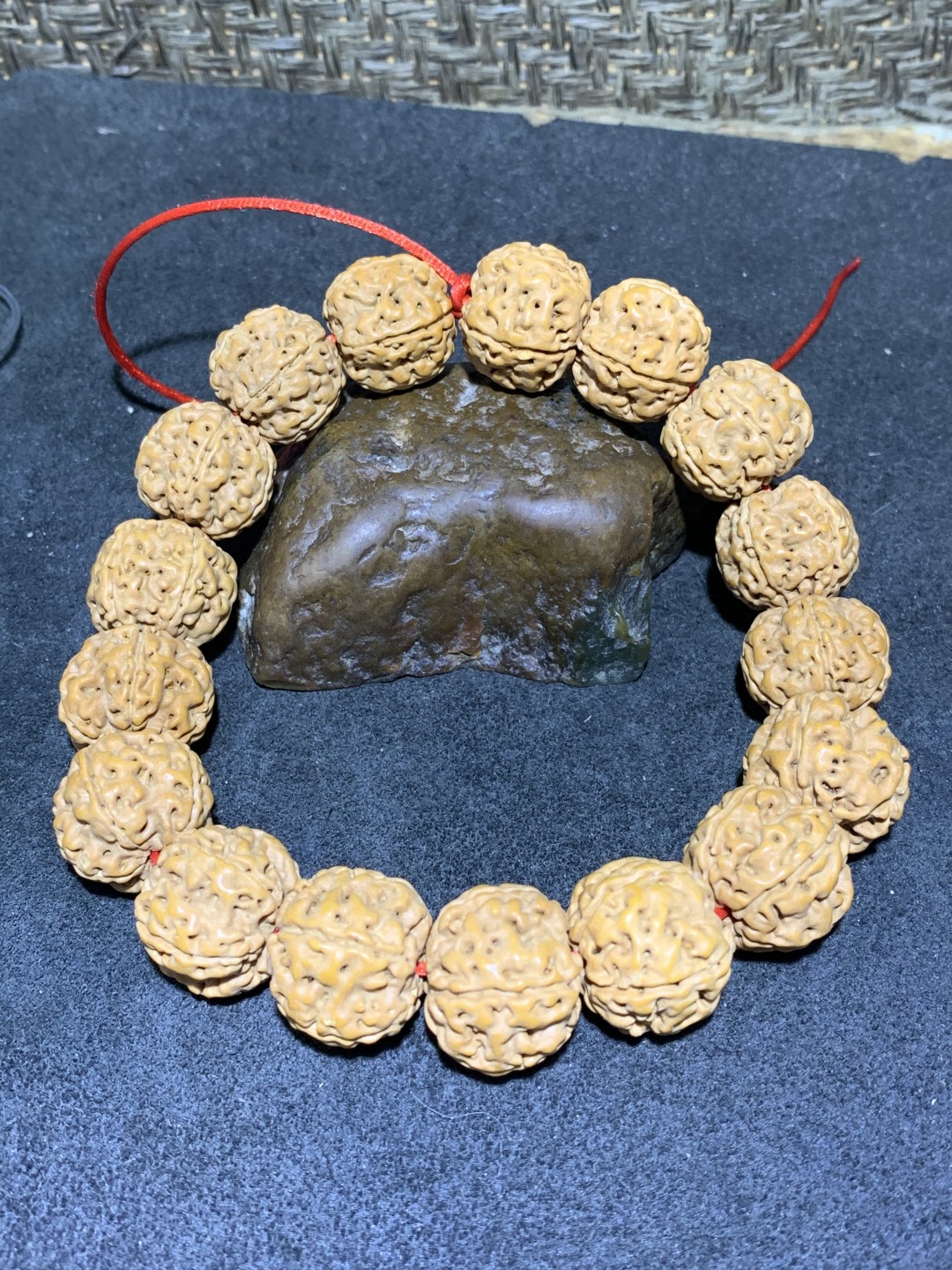 精美毕业级凹底梅花双龙金刚菩提手串一条，