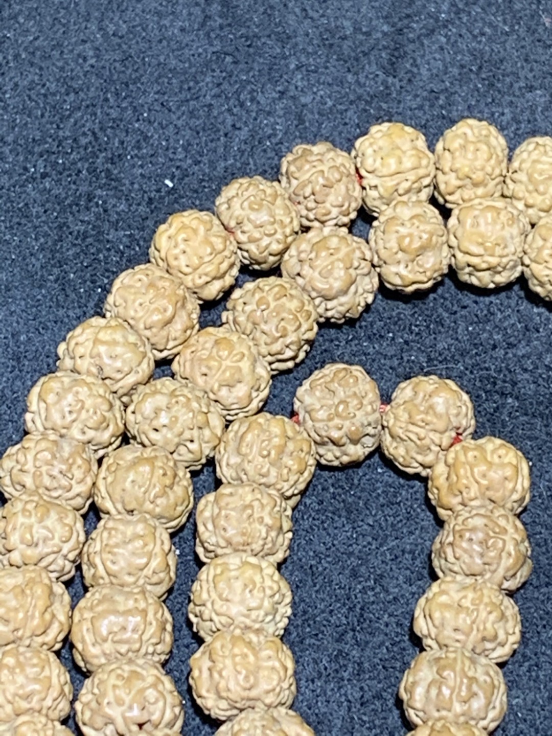 精美蜂窝双龙小金刚菩提一条，
