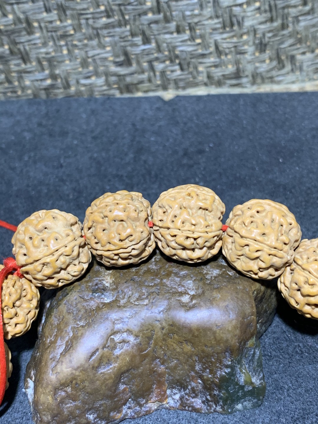 精美毕业级凹底梅花双龙金刚菩提手串一条，