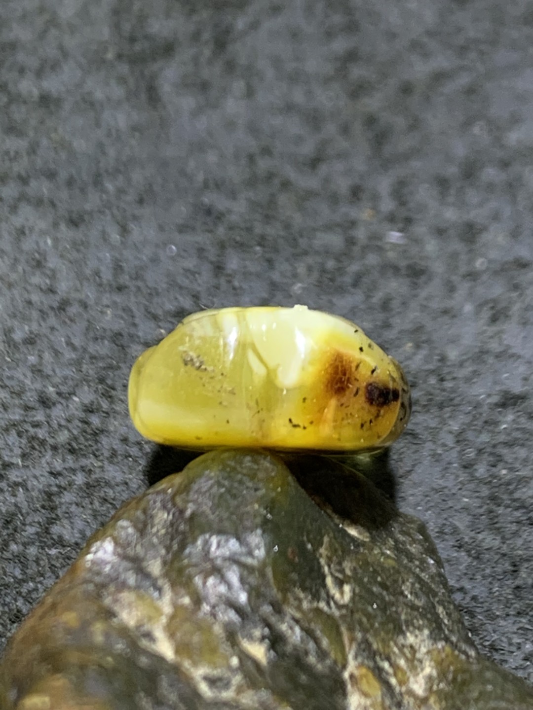 天然通货乌克兰蜜蜡雕刻小熊吊坠一个