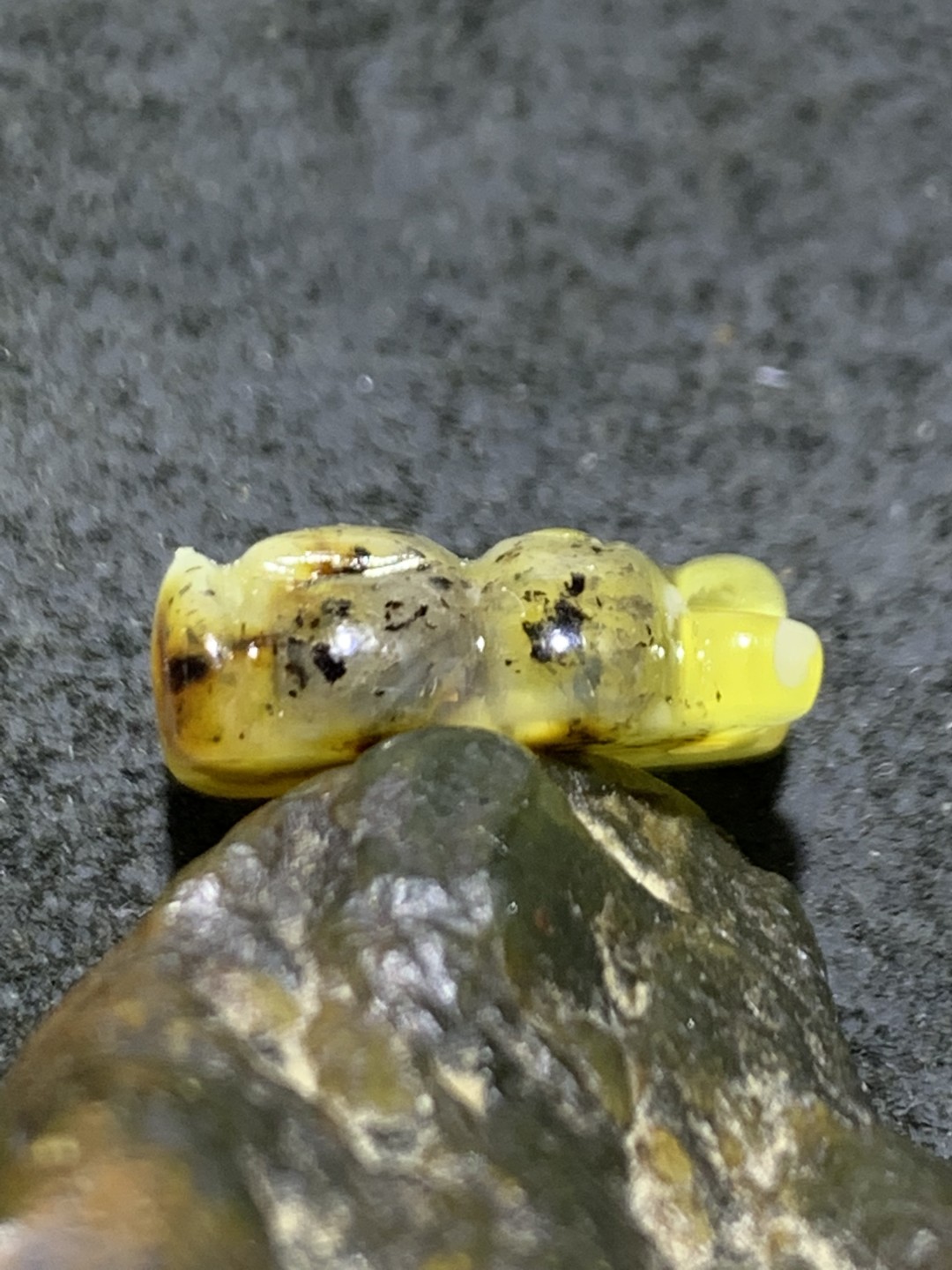 天然通货乌克兰蜜蜡雕刻小熊吊坠一个
