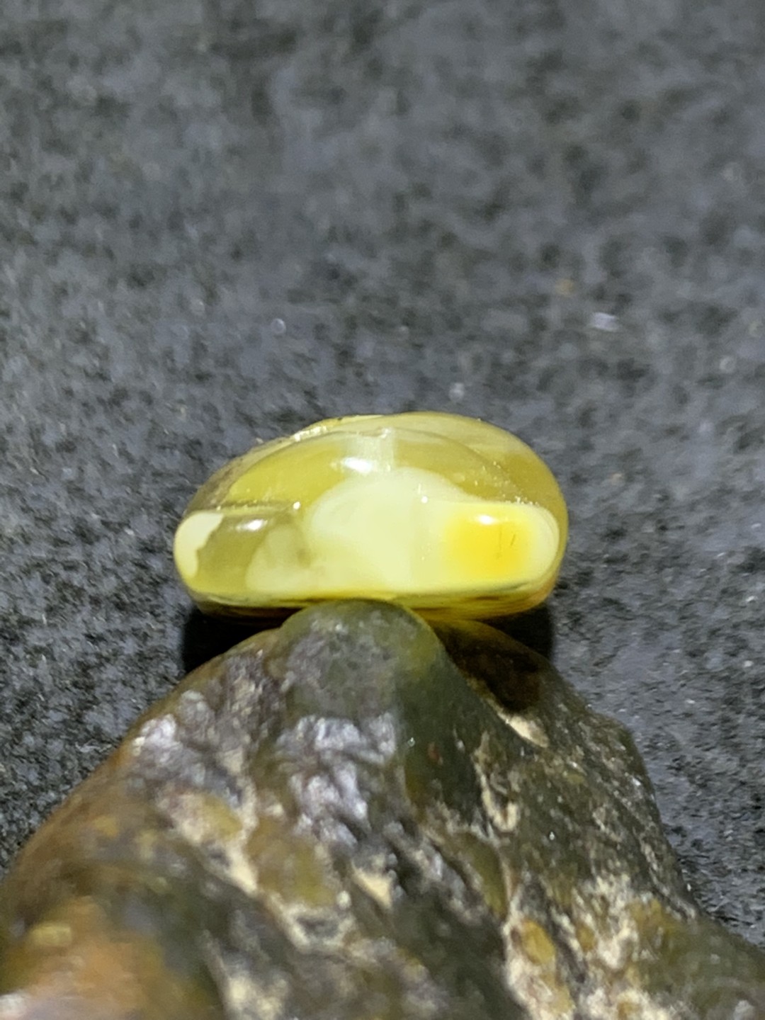 天然通货乌克兰蜜蜡雕刻小熊吊坠一个