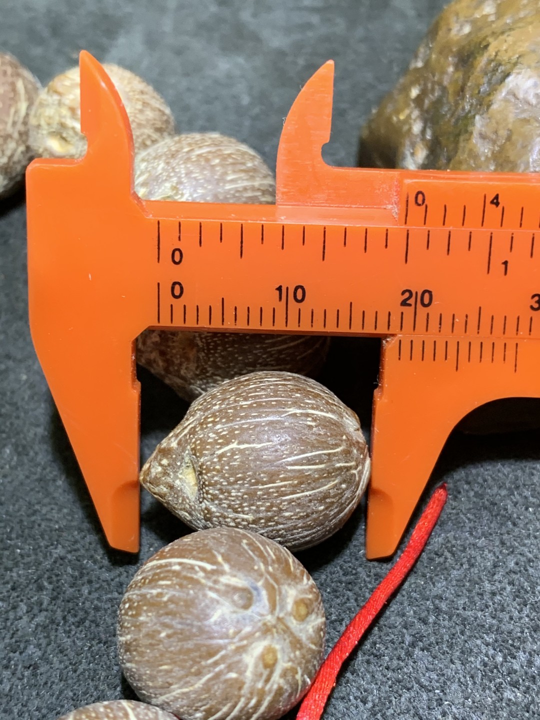精美印尼老树肥包子紫金鼠闷墩前鼠后猫菩提手串一条！