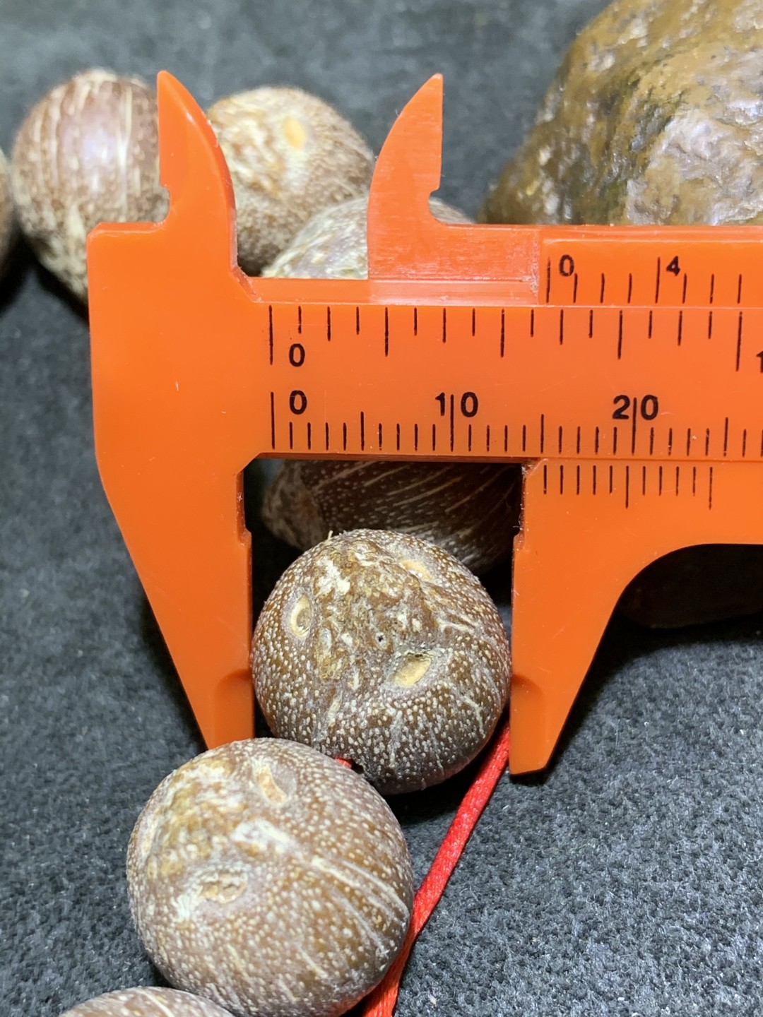 精美印尼老树肥包子紫金鼠闷墩前鼠后猫菩提手串一条！