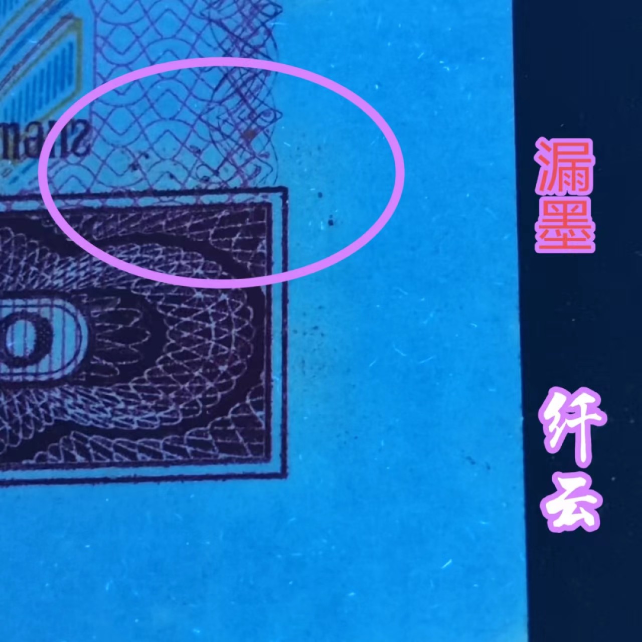 【雪鹰🌊】12.20★116期:万里长城永不倒，龙的精神千秋传~~金龙王、中国龙、黄金龙、红金龙，801四龙齐聚，801TA，801中极稀同时拥有三龙一一金龙王、红金龙、黄金龙的冠号… 801【红金龙】UF93667269:  双面很白~白龙王？纤云🔥，漏墨🔥，ACG63