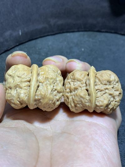 精美延庆双开背金蛤蟆头文玩核桃一对， - 精美延庆双开背金蛤蟆头文玩核桃一对，