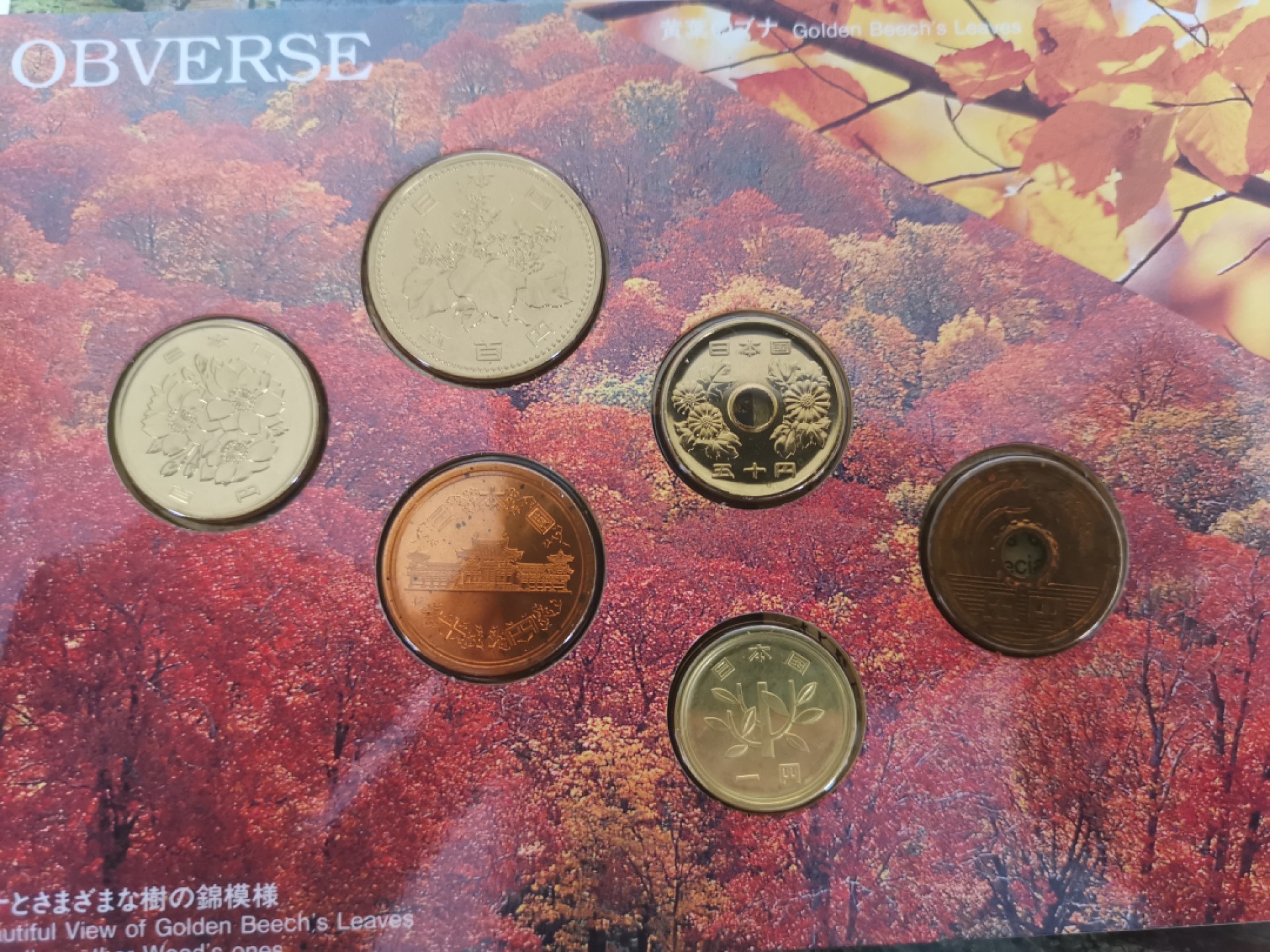 小岛钱币 第一拍  日本纪念币专场 满百包邮 世界文化遗产白神山地1—500円6枚