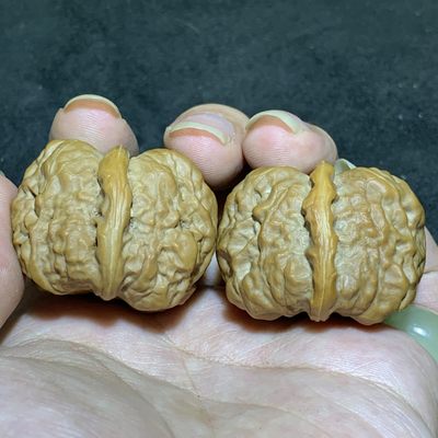 精美延庆蛤蟆头文玩核桃一对 - 精美延庆蛤蟆头文玩核桃一对