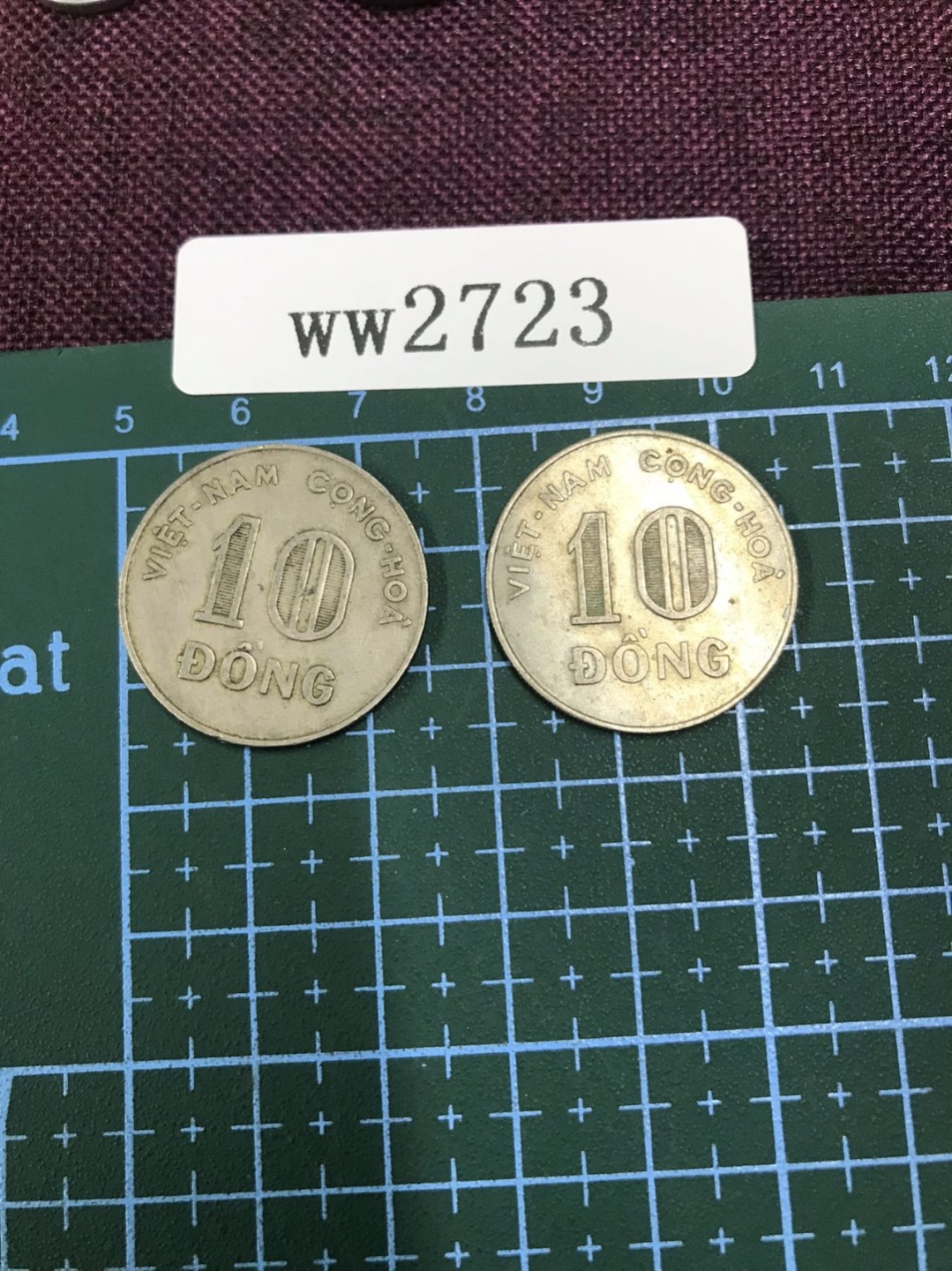 硬币1 越南硬币两枚