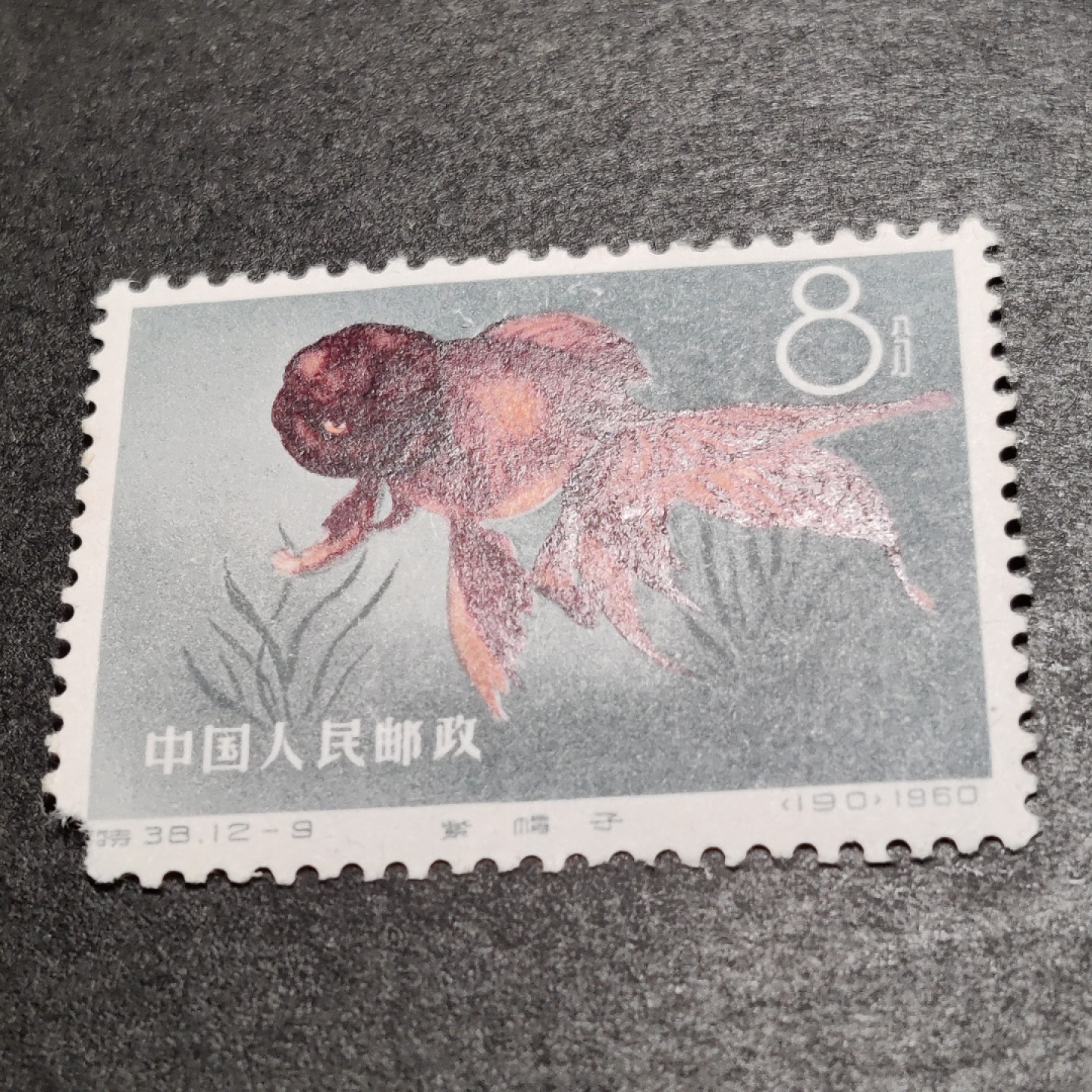 洪涛臻品批发群  精选邮票限时拍卖第一百二十二期 特38金鱼12-9原胶润白轻贴缺角新票 面艳背白 