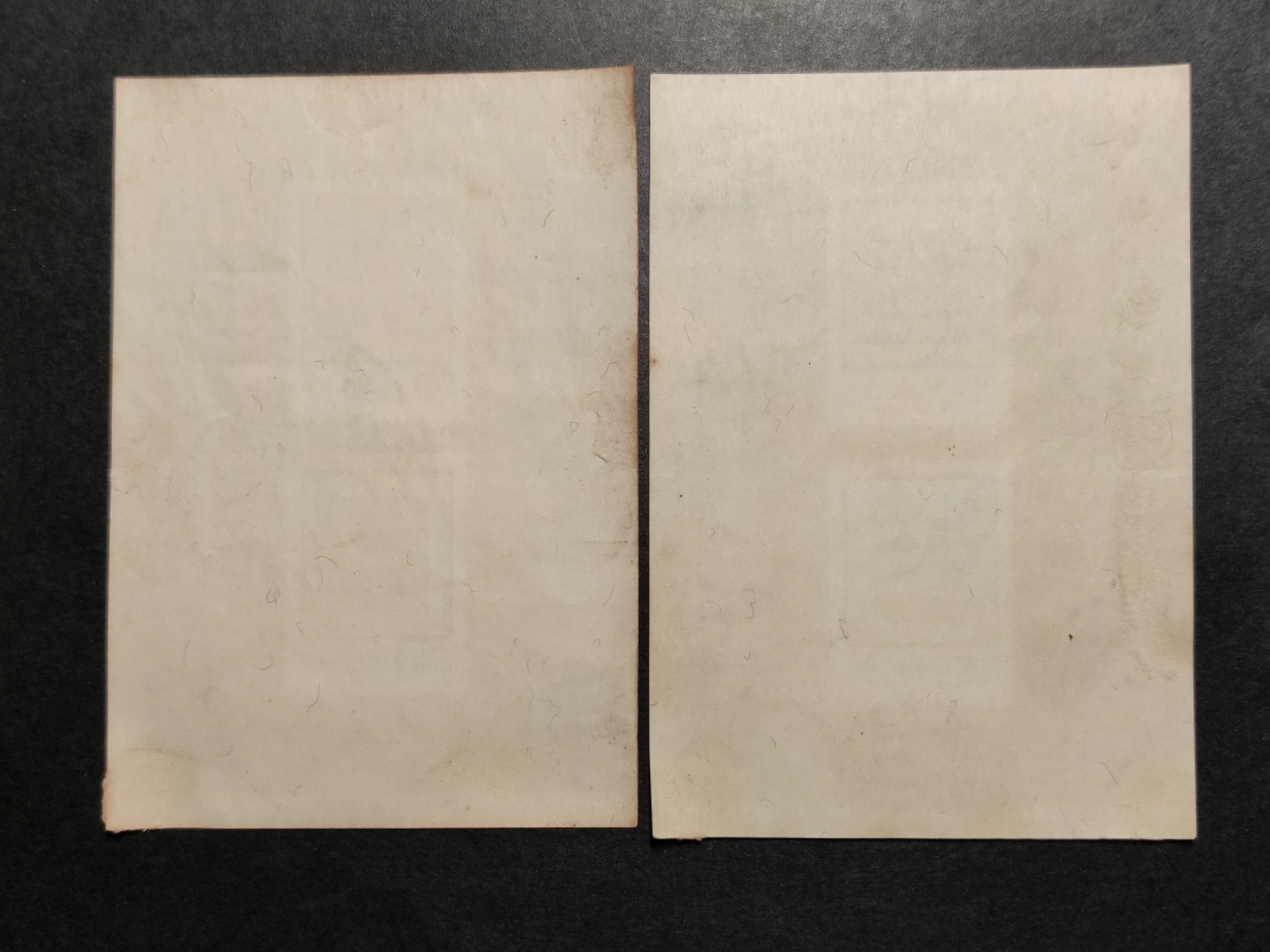 洪涛臻品批发群  精选邮票限时拍卖第一百二十二期 庄敬自强 无齿小全张 1972年 无薄无裂信销上品 彰化不同戳一对
