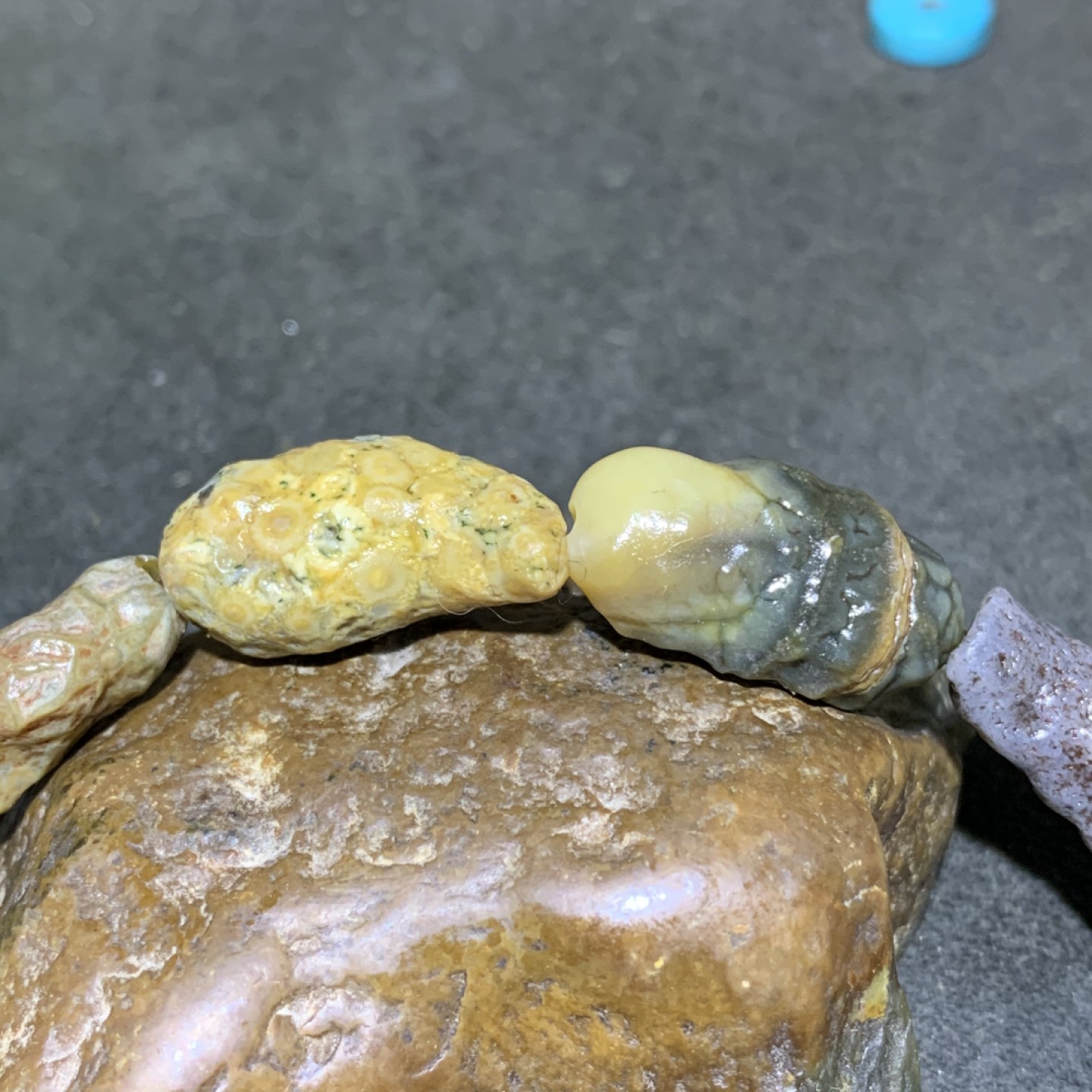 精美阿拉善管状筋脉石原石手串一条，