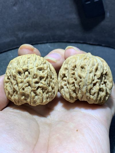 精美门墩狮子头文玩核桃一对！ - 精美门墩狮子头文玩核桃一对！