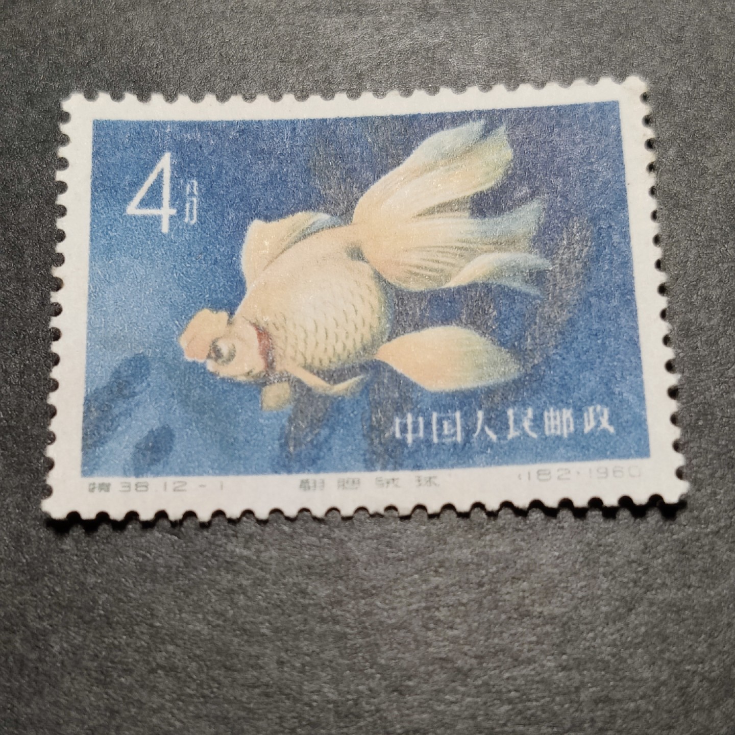 洪涛臻品批发群  精选邮票限时拍卖第一百二十二期 特38金鱼12-1无胶新票 面艳背白上品