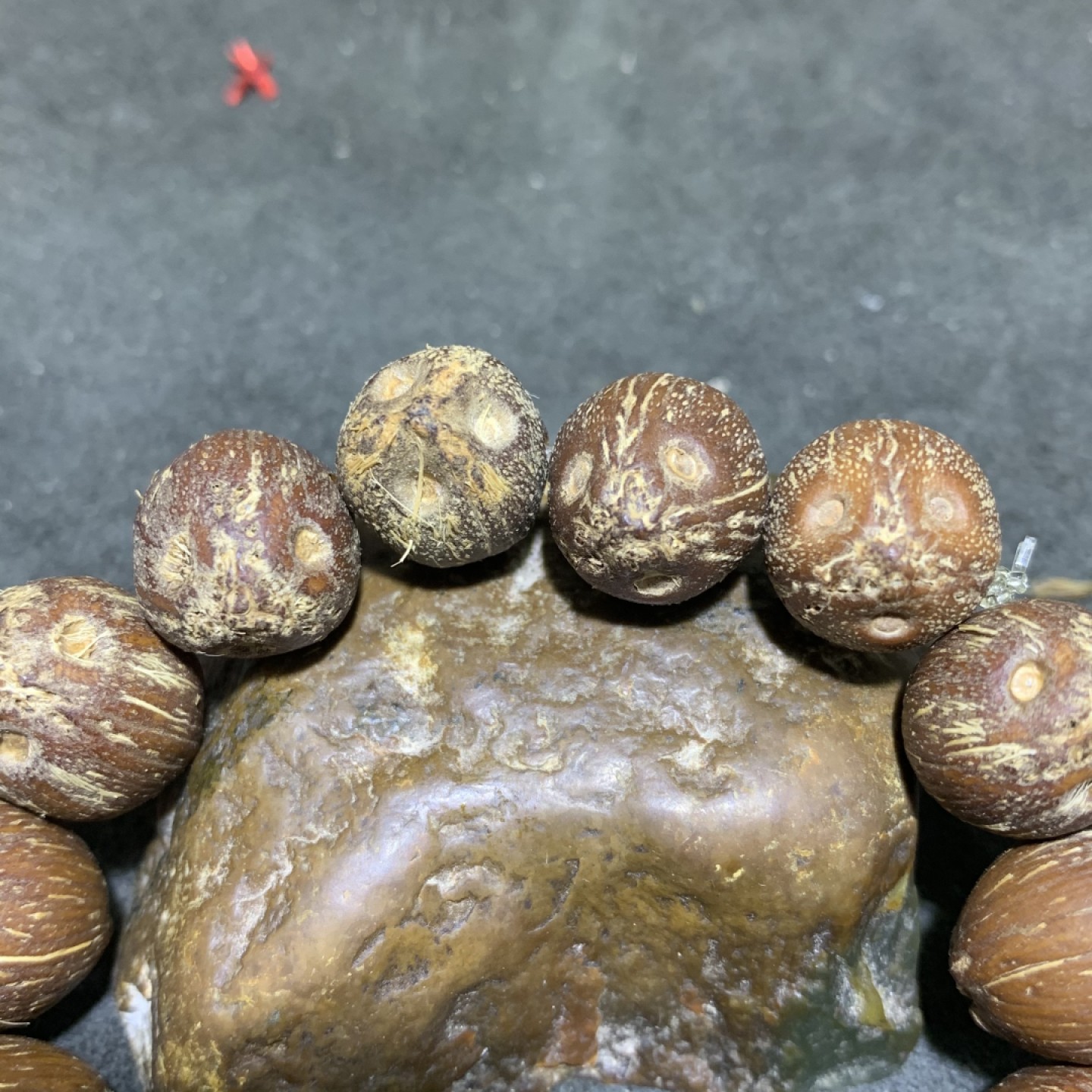 精美招财紫金鼠菩提一条！