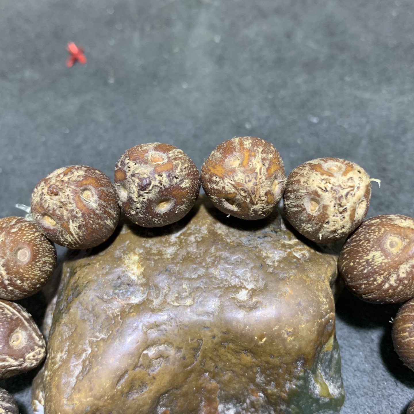 精美招财紫金鼠菩提一条！