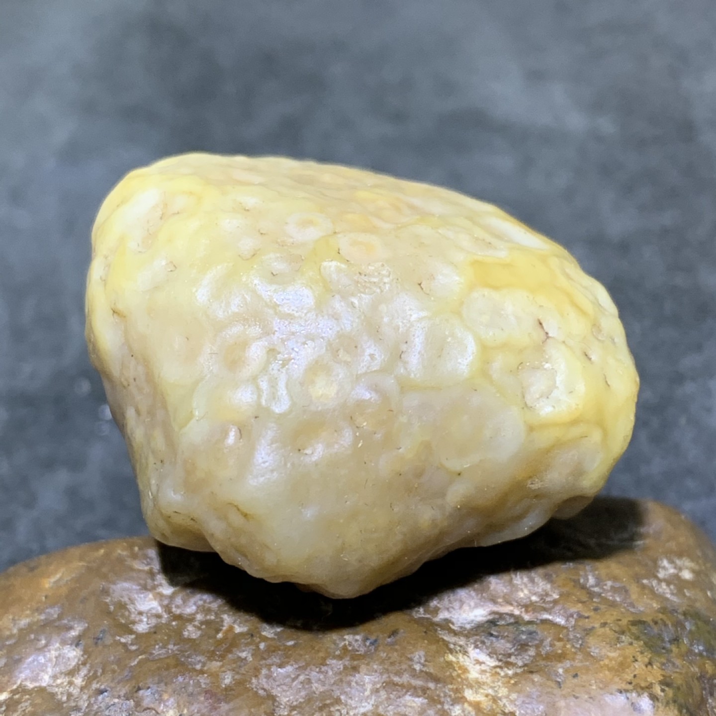 精美戈壁高玉化筋脉石原石一颗，