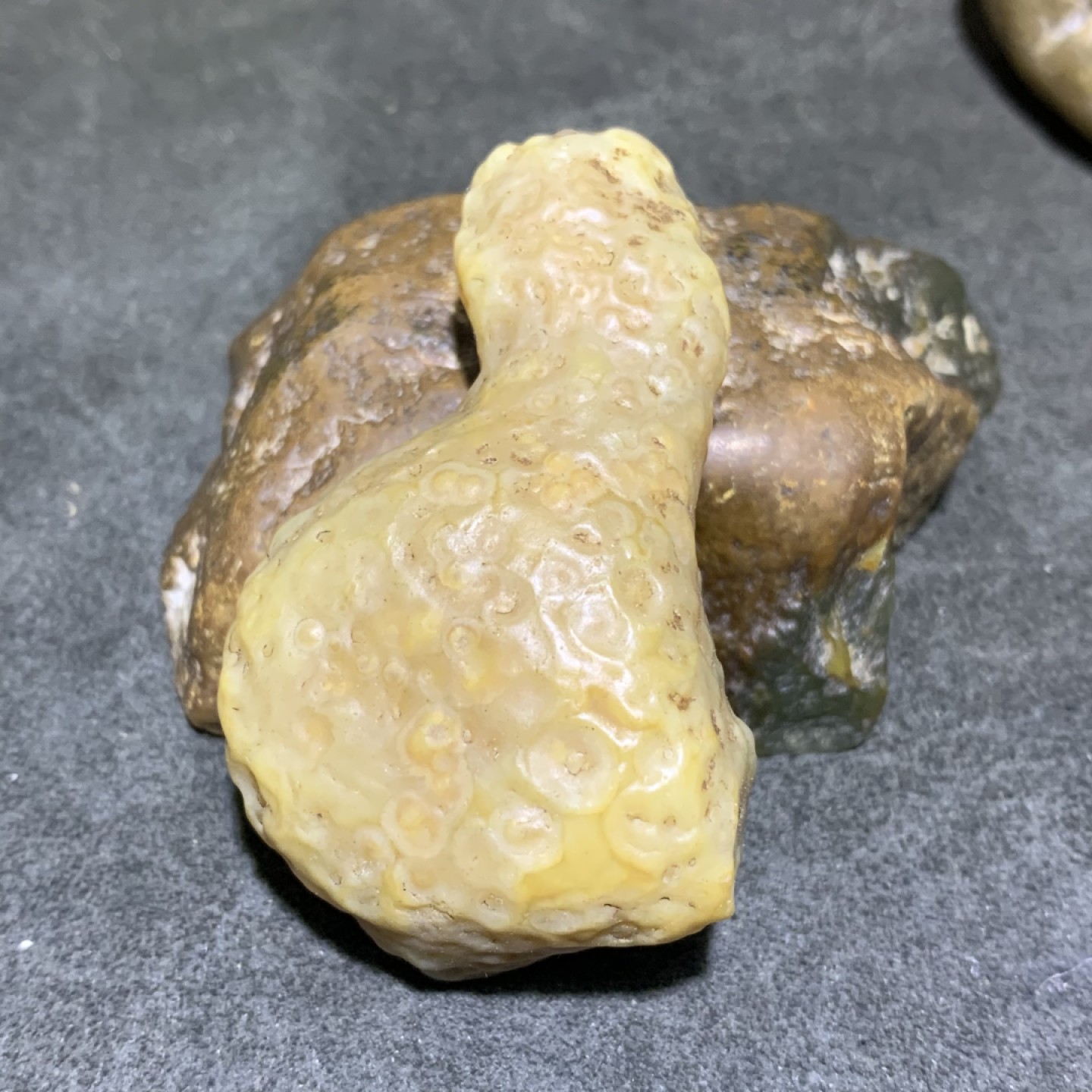精美戈壁高玉化筋脉石原石一颗，